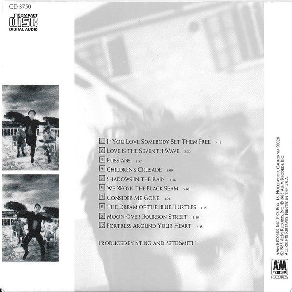 Sting : The Dream Of The Blue Turtles (CD, Album)