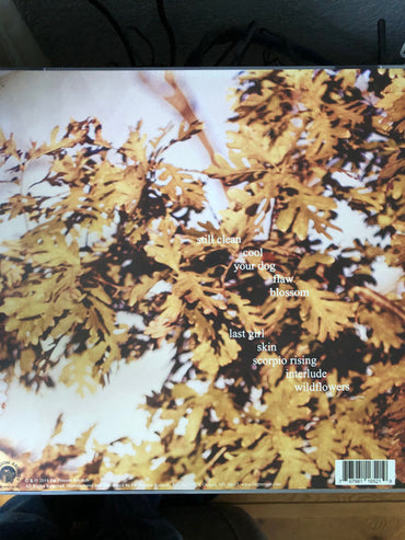 Soccer Mommy : Clean (LP, Album, Ltd, Twi)