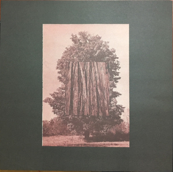 Spirit Of The Beehive* : Hypnic Jerks (LP, Album, Cle)