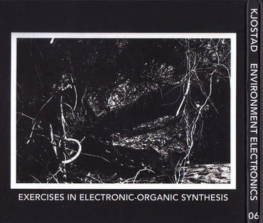 Kjostad : Environment Electronics (CD, Album, RE, RM)