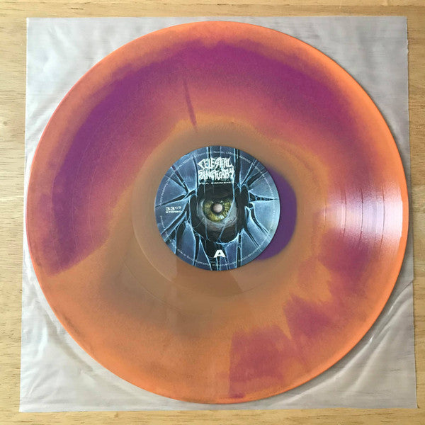 Celestial Sanctuary : Soul Diminished (LP, Album, Pur)