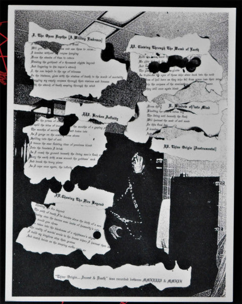 Orgy Of Carrion : Thine Origin... Incest & Death (LP, Album)