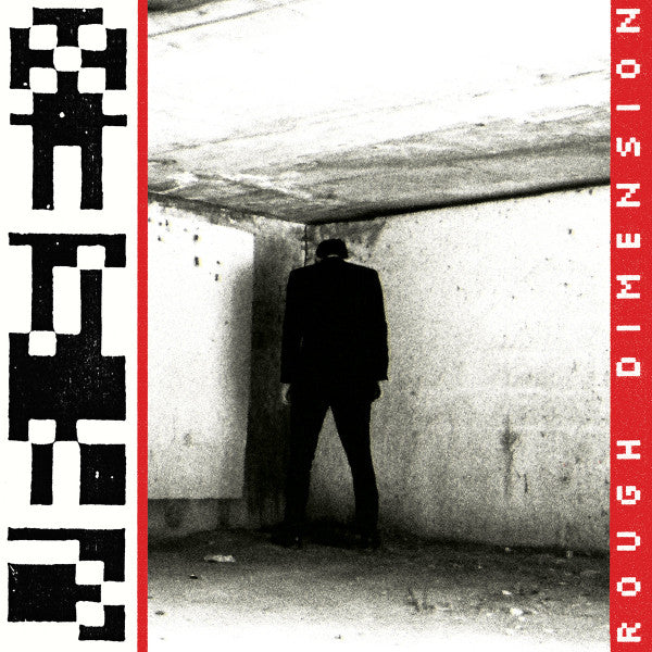 VR Sex : Rough Dimension (LP, Album, Ltd, Cle)