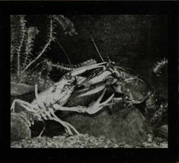 Umpio : Marisko (CD, Album)