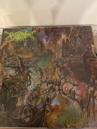 Worm (23) : Foreverglade (LP, Album, RP, Dou)