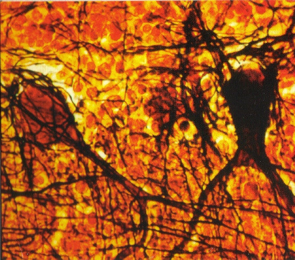 Tribes Of Neurot : Silver Blood Transmission (CD, Album)