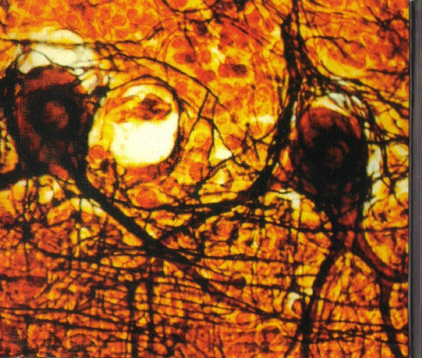 Tribes Of Neurot : Silver Blood Transmission (CD, Album)