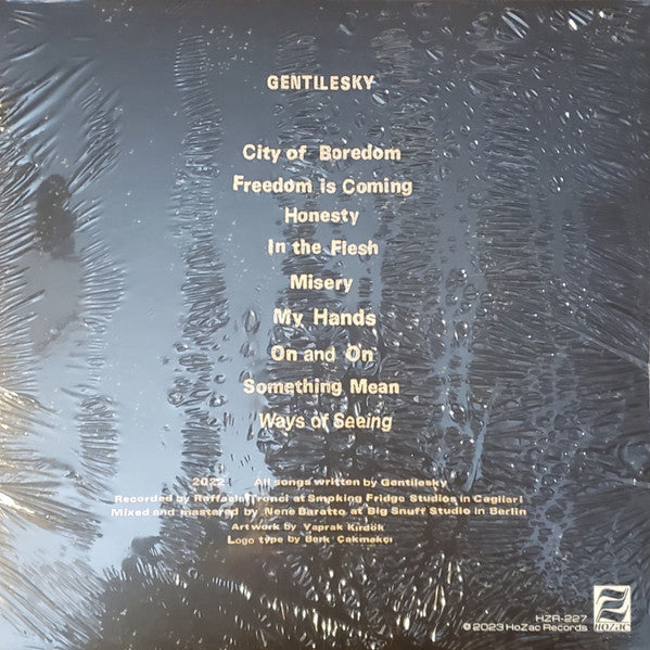 Gentilesky : Ways Of Seeing (LP, Album)