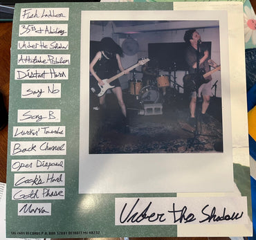 Miracle Debt : Under The Shadow (12", Album)