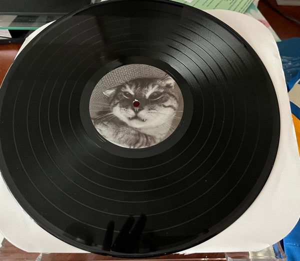 Miracle Debt : Under The Shadow (12", Album)