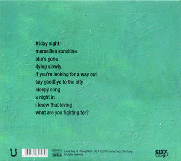 Tindersticks : Across Six Leap Years (CD, Album)