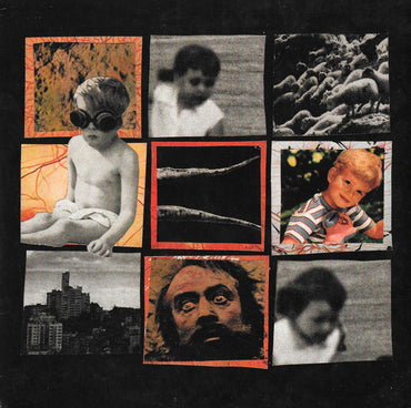 SFN / In Disgust : SFN / In Disgust (7", S/Sided)