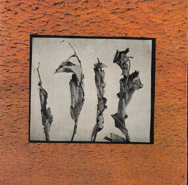 SFN / In Disgust : SFN / In Disgust (7", S/Sided)