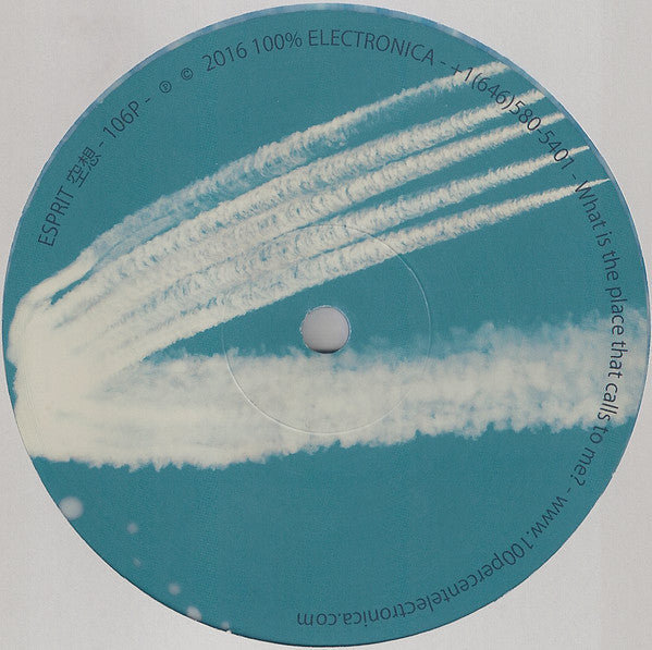 Esprit 空想 : Virtua.zip (LP, Album, Ltd, Blu)