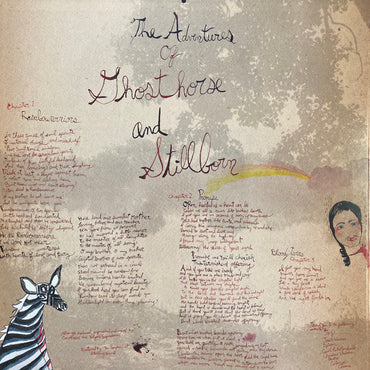 CocoRosie : The Adventures Of Ghosthorse And Stillborn (LP, Album)