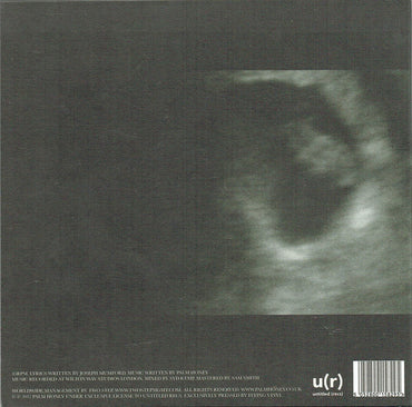 Palm Honey : Starving Hysterical Naked (7")