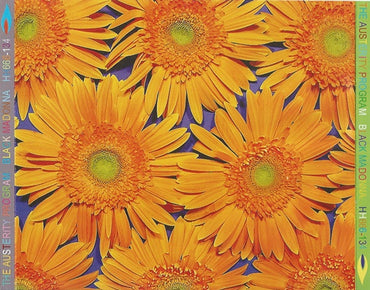 The Austerity Program : Black Madonna (CD, Album)