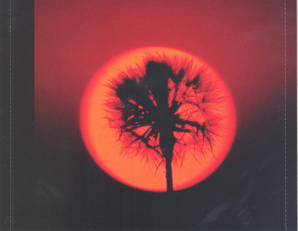 Dark Water Transit : Presents... Dawn Of The Goblin (CD, Album)