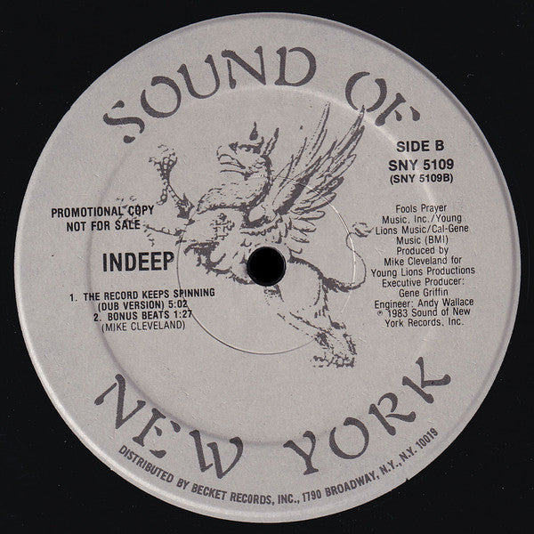 Indeep : The Record Keeps Spinning (12", Promo)