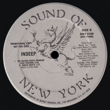 Indeep : The Record Keeps Spinning (12", Promo)
