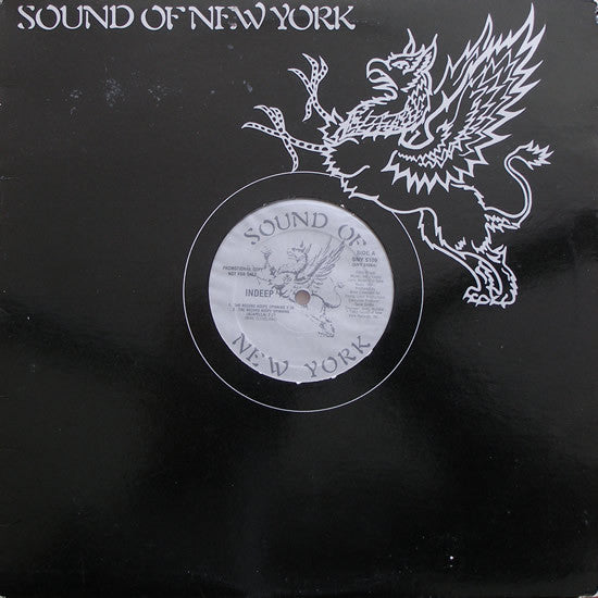 Indeep : The Record Keeps Spinning (12", Promo)