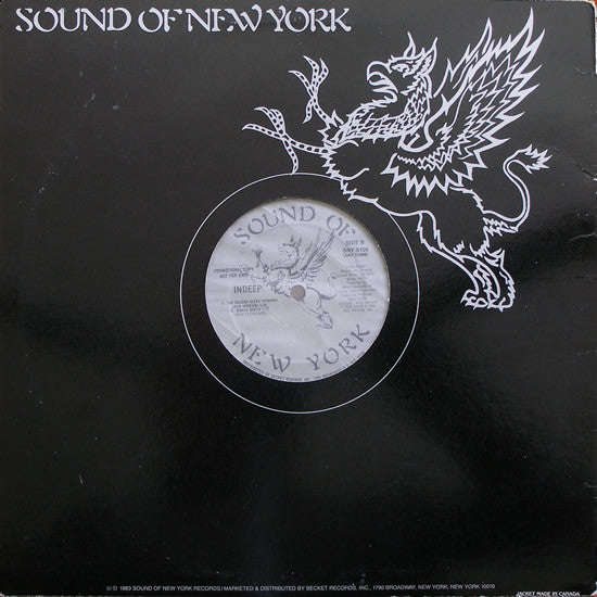 Indeep : The Record Keeps Spinning (12", Promo)