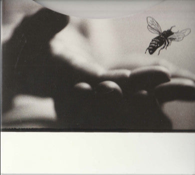 Lucinda Williams : Little Honey (CD, Album, UML)