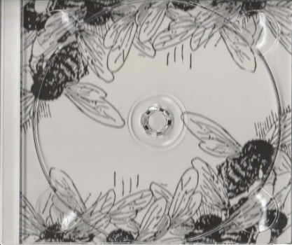 Lucinda Williams : Little Honey (CD, Album, UML)