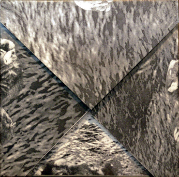 Cranioclast : Rats Can Coil Cats Can Roil (12")