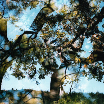 Bird By Snow : Common Wealth (LP, Album, Ltd, Whi)