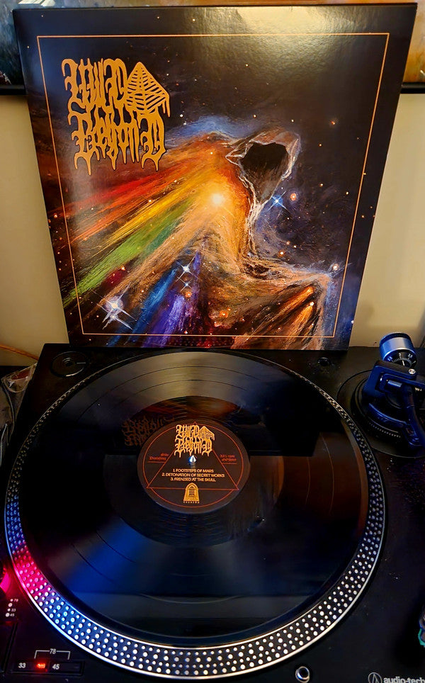 Wild Beyond : Wild Beyond (LP, Album, Ltd)