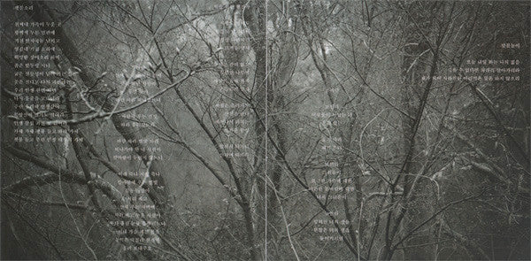 폐허 : 맞불놀이 (CD, Album, Ltd)