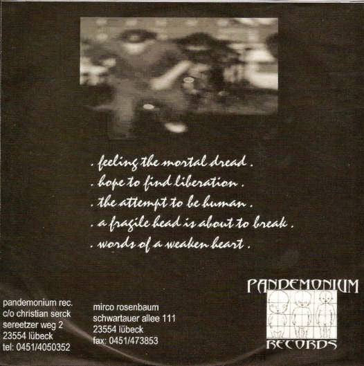Solace Beats My Starvation : Straying In A Maze (7")