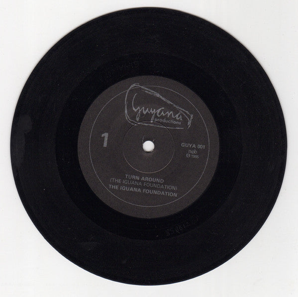 The Iguana Foundation : Turn Around (7")