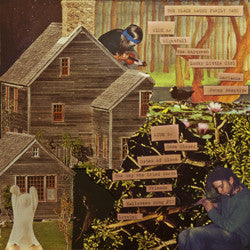 The Black Magic Family Band : A Magical World Of Animals And Spirits (LP)