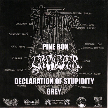 Streetwalker (2) / Catheter : Dissecting The Suffering Quota (7")