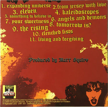 Let It Burn : The Expanding Universe (LP, Album)