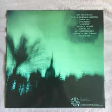 If These Trees Could Talk : Above The Earth, Below The Sky (LP, RP, For)