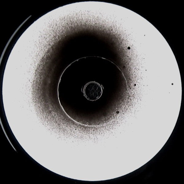 Kaivosurma : Revisionistit (7", EP, W/Lbl)