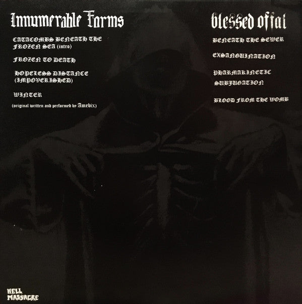 Innumerable Forms / Blessed Offal : Innumerable Forms / Blessed Offal (LP)