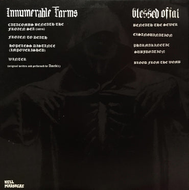 Innumerable Forms / Blessed Offal : Innumerable Forms / Blessed Offal (LP)