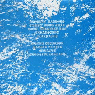 The Lowest Form : Negative Ecstasy (LP)