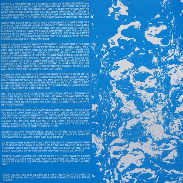 The Lowest Form : Negative Ecstasy (LP)