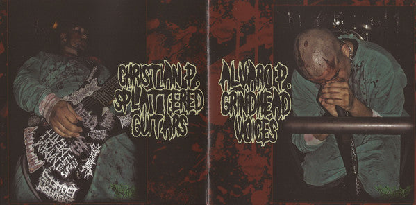 Ritual Of Flesh : Splatter Grind Abortion (CD, Album)