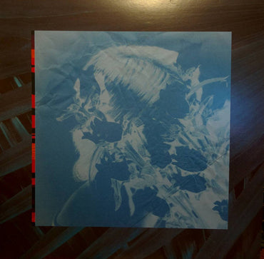 VATS (2) : Green Glass Room (LP, Album)