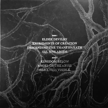 Bestial Raids : Master Satan's Witchery (LP, Album)