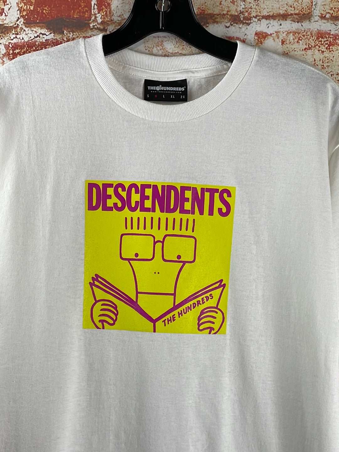 Descendents, used band shirt (M)