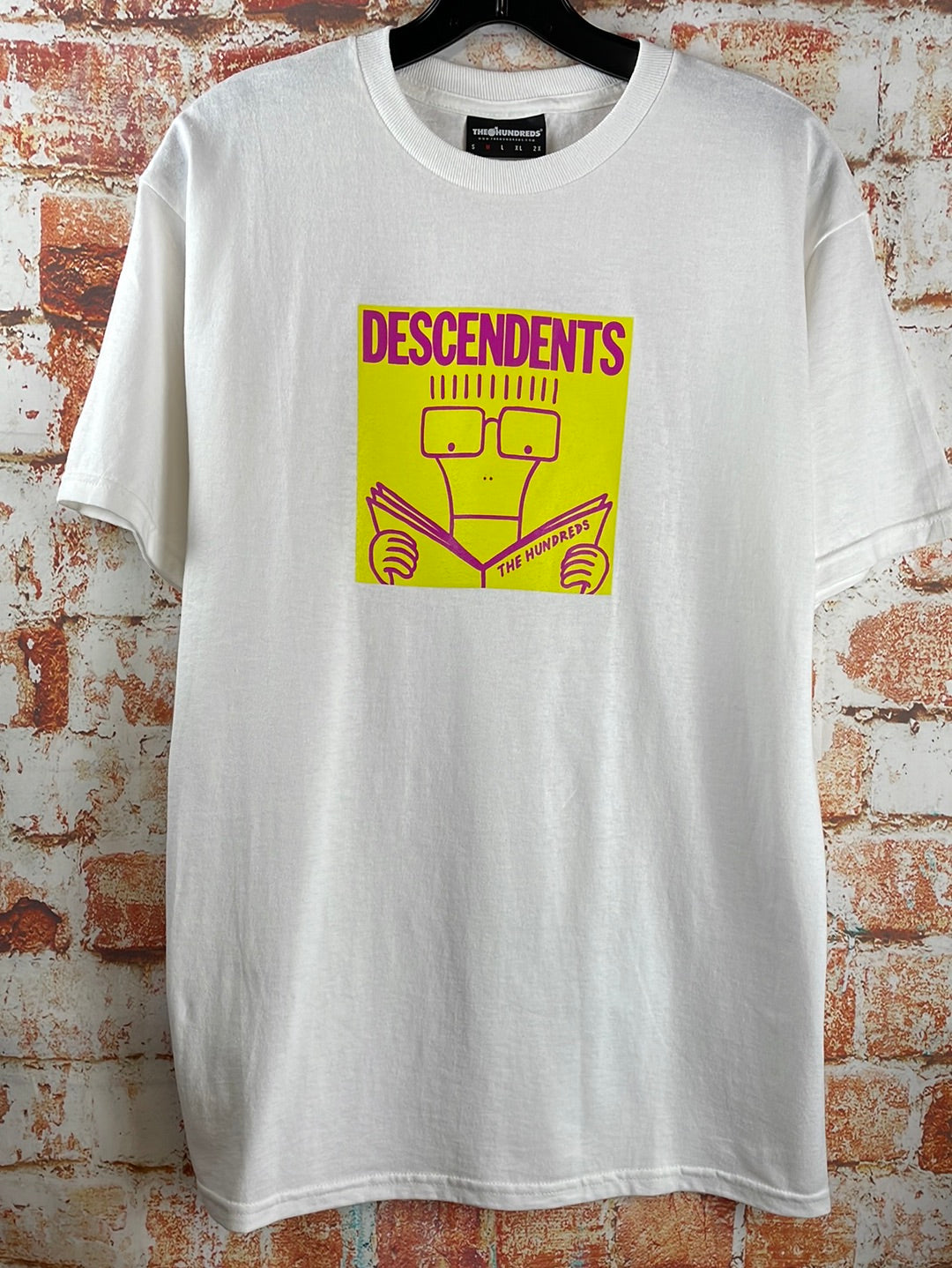 Descendents, used band shirt (M)