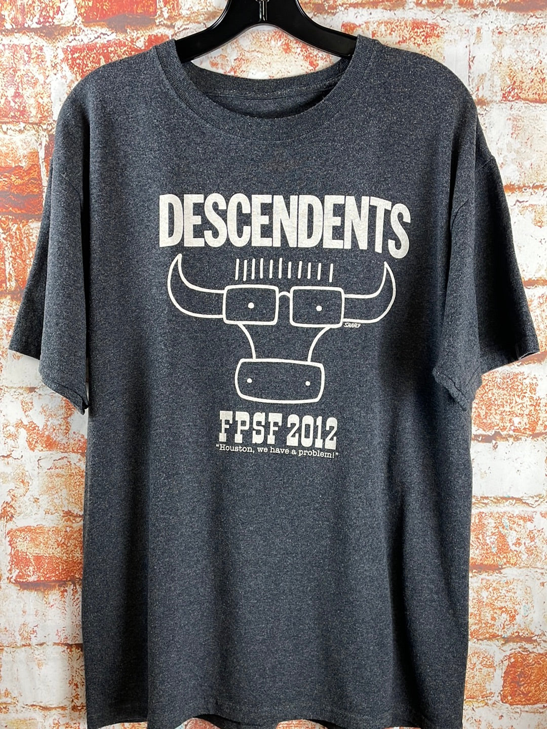 Descendents, used band shirt (L)