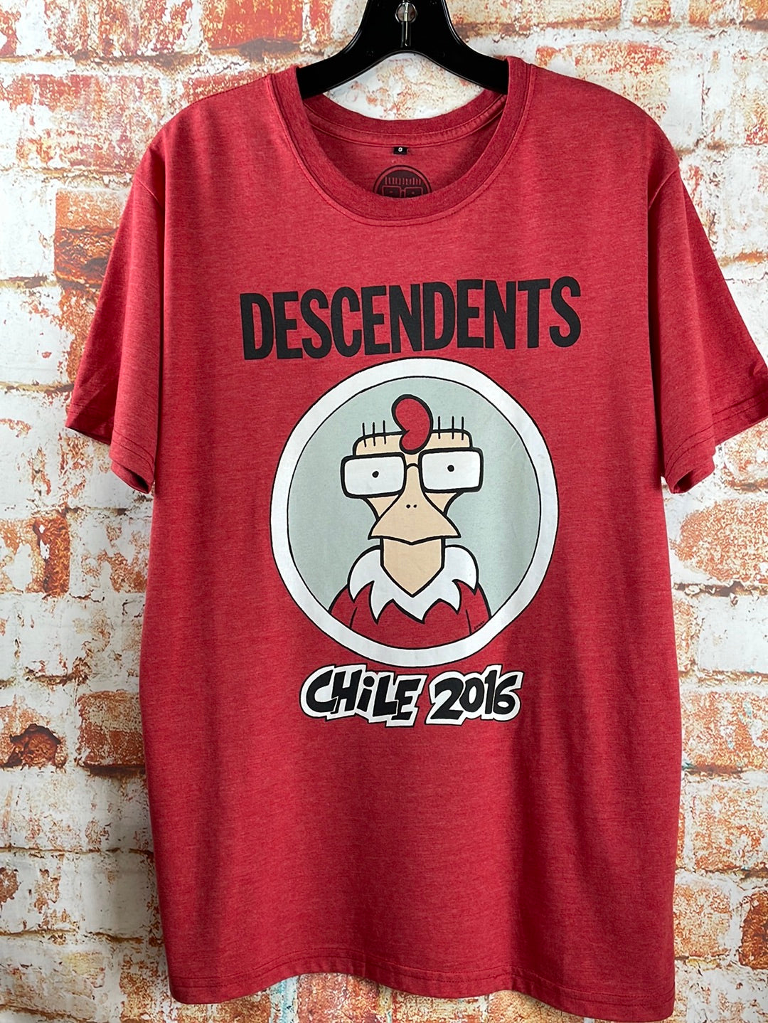 Descendents, used band shirt (L)